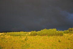 squam-creative-teele-crown-range-arrowtown