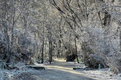 squam-creative-teele-hoar-frost-arrowtown-river-track