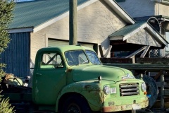squam-creative-teele-old-green-truck-arrowtown