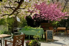 squam-creative-teele-provisions-arrowtown-spring