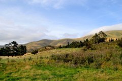 Shag Valley