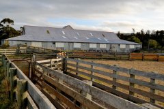Sheep Shed