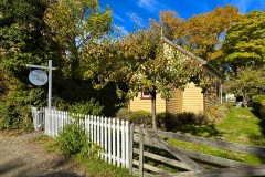 squam-creative-teele-superpartner-art-gallery-arrowtown-autumn