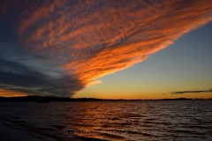 Pink Cloud Bow 1
