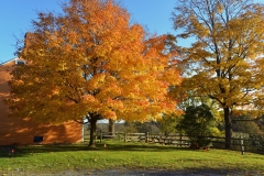 Cogswell's Grant in Autumn