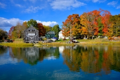 Burnham Boat Building & Trees