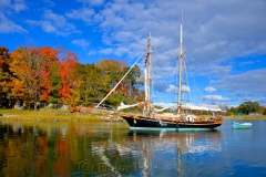 Safe Harbor