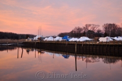 Pink Sunset