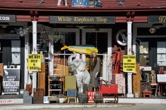 White Elephant