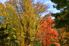 Cemetery in October 2