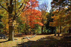 Cemetery in October 3