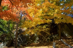 Cemetery in October 4