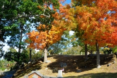 Cemetery in October 5