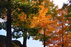 Cemetery in October 6