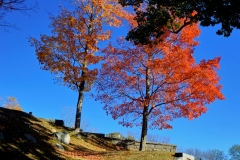Cemetery Afternoon 5