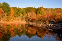 Goose Cove Reservoir
