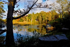 Afternoon Light - High Street