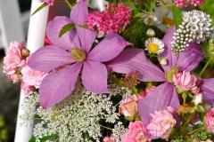 Purple & Pink