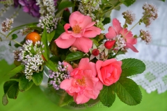 Pink Roses