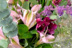 Pink & Purple