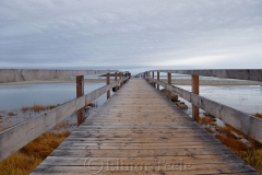 Good Harbor Footbridge 1
