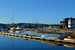 Smith Cove Docks