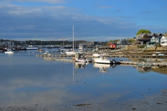Smith Cove in May