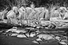 Beach in January 2