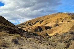 squam-creative-teele-brackens-saddle-1