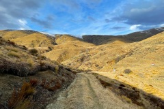 squam-creative-teele-brackens-saddle-5