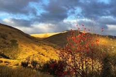 squam-creative-teele-brackens-saddle-crown-range-april-1