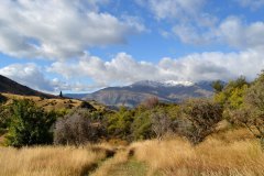 squam-creative-teele-high-country-central-otago