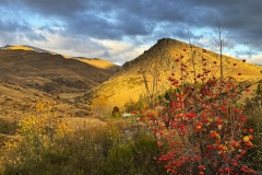 squam-creative-teele-mount-beetham-red-april