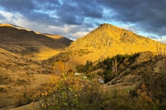 squam-creative-teele-mount-beetham-yellow-april