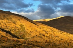 squam-creative-teele-peters-way-april-1