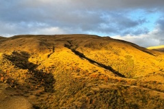 squam-creative-teele-peters-way-april-2