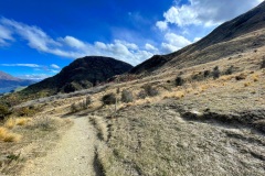 squam-creative-teele-sawpit-gully-before-the-tree-planting