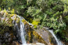 squam-creative-teele-sawpit-gully-december-1