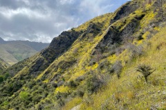 squam-creative-teele-sawpit-gully-december-3