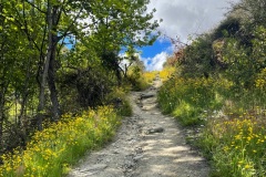 squam-creative-teele-sawpit-gully-december-8