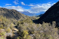 squam-creative-teele-sawpit-gully-looking-toward-lake-hayes