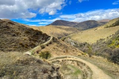 squam-creative-teele-sawpit-gully-october-2