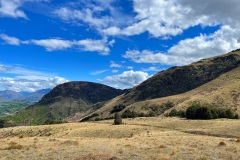 squam-creative-teele-sawpit-gully-october-5