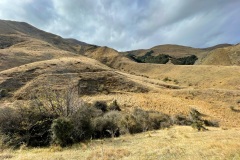 squam-creative-teele-sawpit-gully-view-big-hill-track