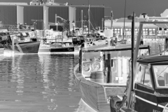 squam-creative-teele-harbor-cove-gloucester-bw-inversion-2