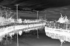 squam-creative-teele-hodgkins-cove-bw-inversion