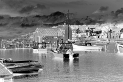 squam-creative-teele-motif-1-rockport-bw-inversion