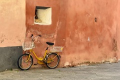 squam-creative-teele-yellow-bicycle-finalborgo