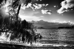 squam-creative-lake-wanaka-tree_5
