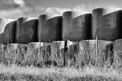 squam-creative-teele-hay-bales-new-zealand-black-white